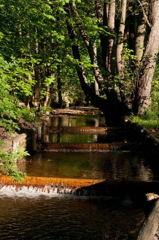 Penzion Speedway Mariánské Lázně Exteriör bild